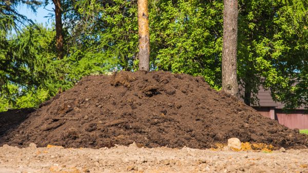 Dirt Installation in Springfield