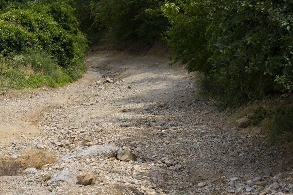Gravel Road Pothole Repair in Springfield