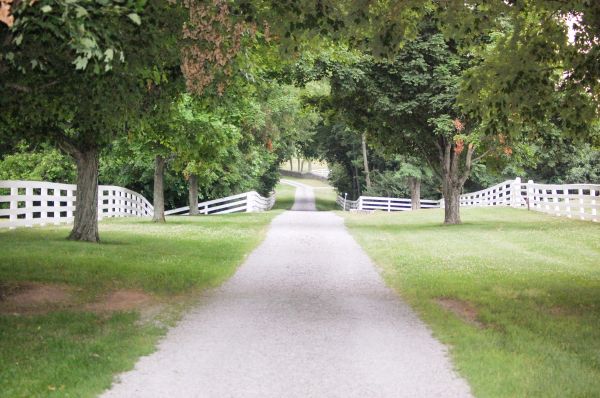 Gravel Driveway Construction in Springfield