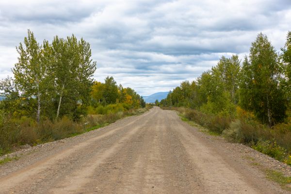 Dirt Road Repair in Springfield