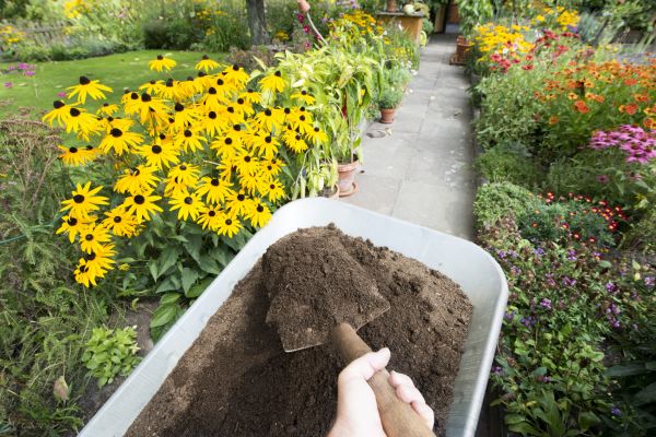 Topsoil Installation in Springfield