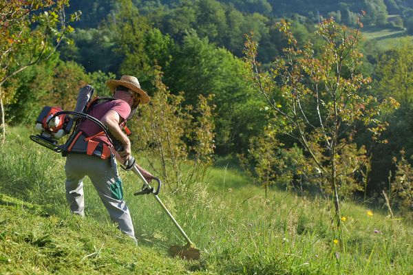 Cost of Slope Trimming in Springfield